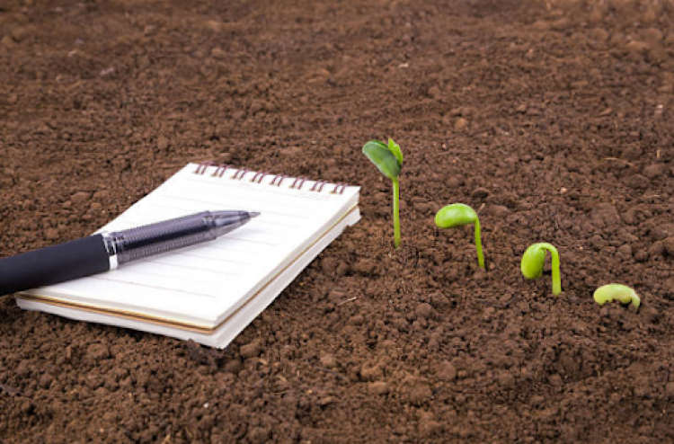 Image de croissance végétale et d'un cahier de notes