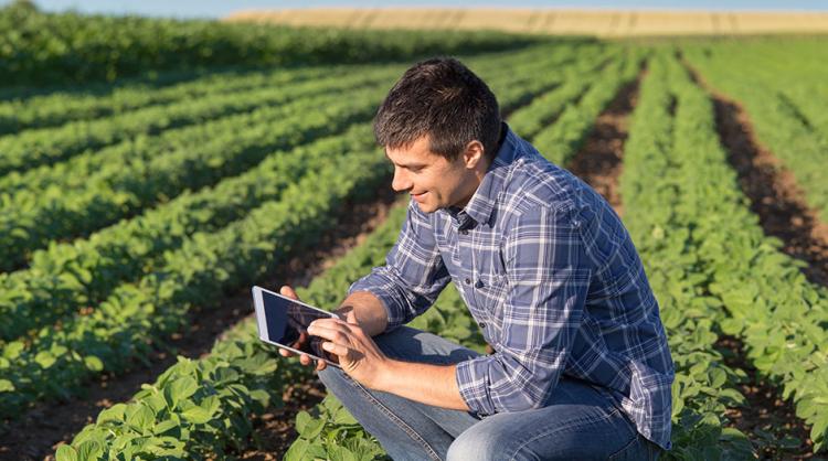 news02-farmer-in-field